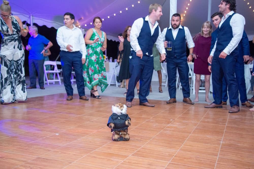 Uplit wedding ballroom with professional DJ production — gallery photo 29