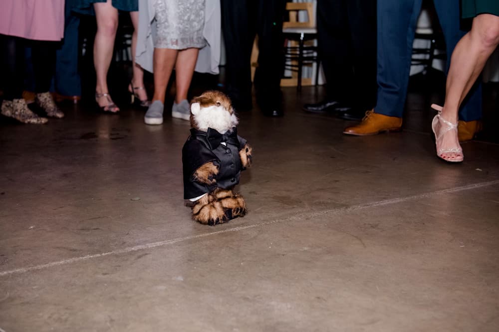 Wedding reception dance floor under colorful BT Sound lighting — gallery photo 25